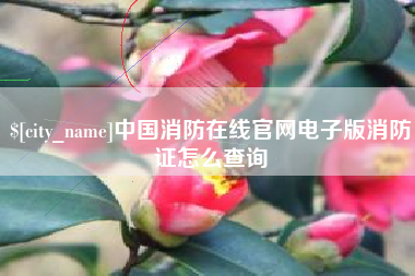 汉中中国消防在线官网电子版消防证怎么查询