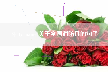 汉中关于全国消防日的句子