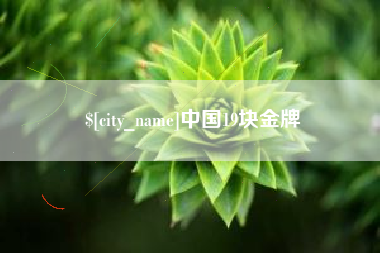 汉中中国19块金牌