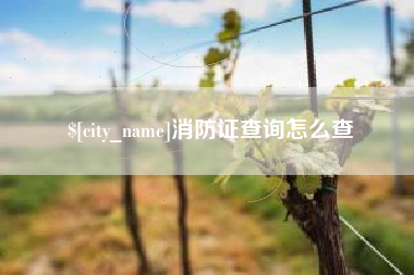 汉中消防证查询怎么查