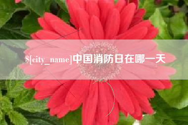 汉中中国消防日在哪一天