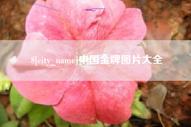 汉中中国金牌图片大全