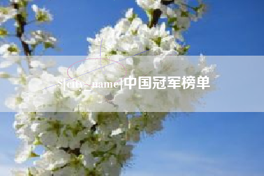 汉中中国冠军榜单