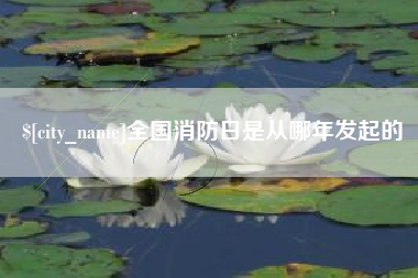 汉中全国消防日是从哪年发起的
