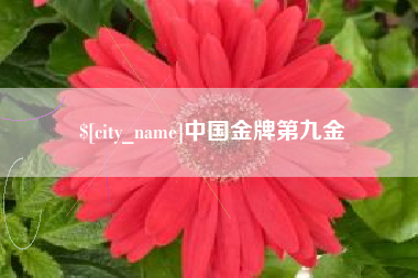 汉中中国金牌第九金