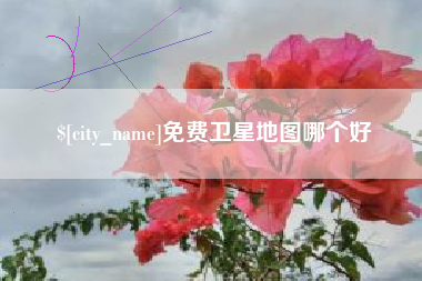 汉中免费卫星地图哪个好