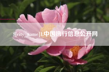 汉中1.中国执行信息公开网