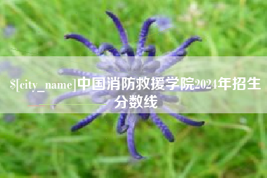 汉中中国消防救援学院2024年招生分数线