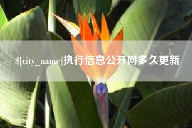 汉中执行信息公开网多久更新