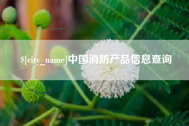 汉中中国消防产品信息查询