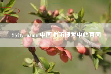 汉中中国消防报考中心官网