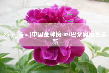 汉中中国金牌榜2024巴黎奥运会最新