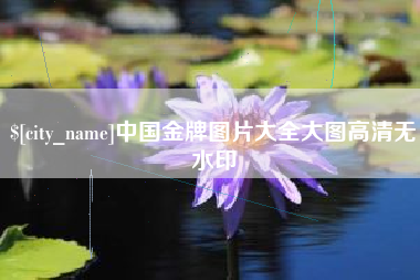 汉中中国金牌图片大全大图高清无水印