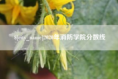 汉中2020年消防学院分数线