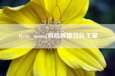 汉中消防救援总队王星