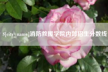 汉中消防救援学院内部招生分数线