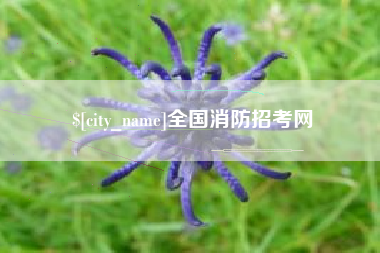 汉中全国消防招考网
