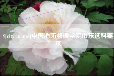 汉中中国消防救援学院山东选科要求