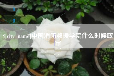 汉中中国消防救援学院什么时候政审