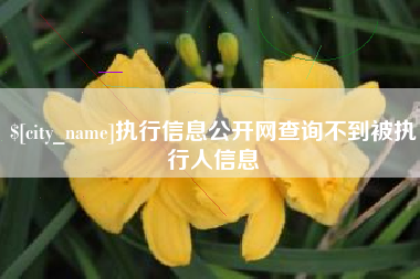 汉中执行信息公开网查询不到被执行人信息