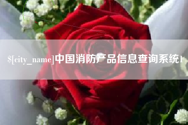 汉中中国消防产品信息查询系统1