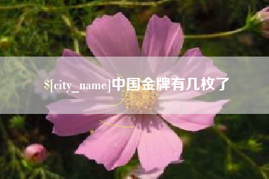 汉中中国金牌有几枚了