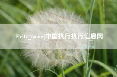 汉中中国执行执行信息网