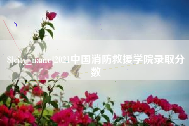 汉中2021中国消防救援学院录取分数