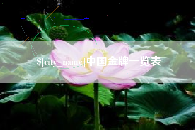 汉中中国金牌一览表