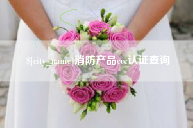 汉中消防产品ccc认证查询