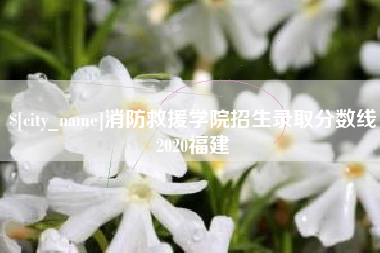 汉中消防救援学院招生录取分数线2020福建