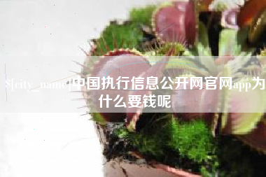 汉中中国执行信息公开网官网app为什么要钱呢