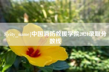 汉中中国消防救援学院2021录取分数线