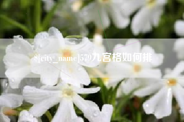 汉中579九宫格如何排