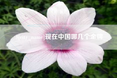 汉中现在中国哪几个金牌
