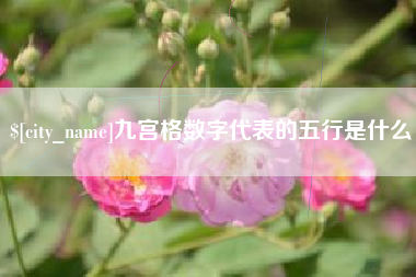 汉中九宫格数字代表的五行是什么