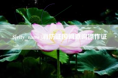 汉中消防证国网查询操作证