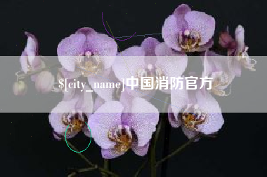 汉中中国消防官方