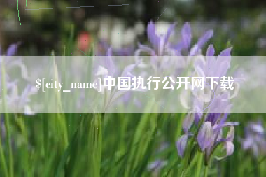 汉中中国执行公开网下载