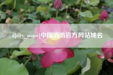 汉中中国消防官方网站域名