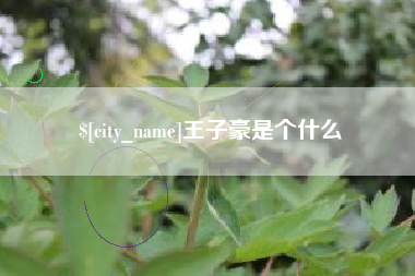 汉中王子豪是个什么