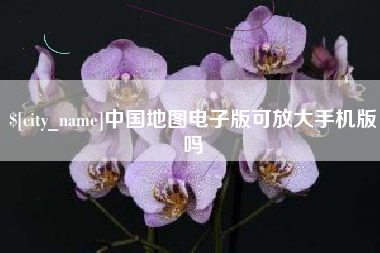 汉中中国地图电子版可放大手机版吗