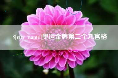 汉中奥运金牌第二个九宫格