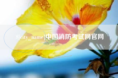 汉中中国消防考试网官网