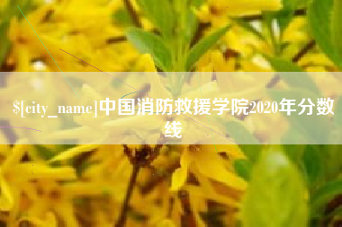 汉中中国消防救援学院2020年分数线