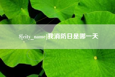 汉中我消防日是哪一天
