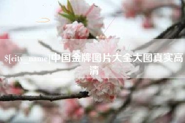 汉中中国金牌图片大全大图真实高清