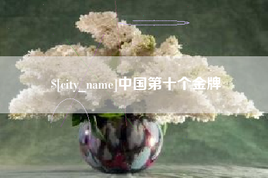 汉中中国第十个金牌