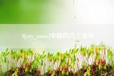 汉中中国的几个金牌