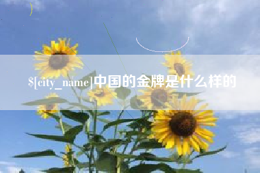 汉中中国的金牌是什么样的